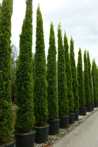 46e623b01d736899e8a64217e61a8ca3