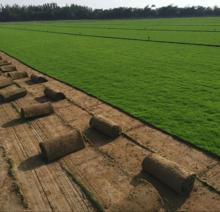 47fd4bc497aed44d7fdb690a3eab8261