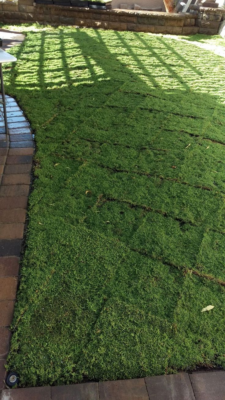 fc235288a7906a965aa5705ab2e0ab73