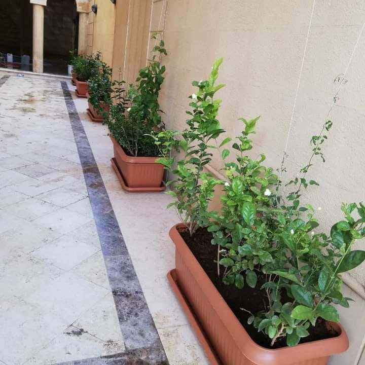 صورة واتساب بتاريخ 1447-04-17 في 13.18.13_915969ab