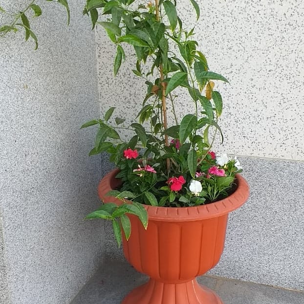 صورة واتساب بتاريخ 1447-04-17 في 13.18.14_406d7d6a