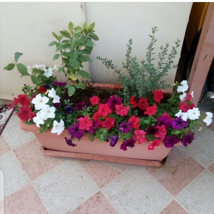 صورة واتساب بتاريخ 1447-04-17 في 13.18.14_8921c6bb