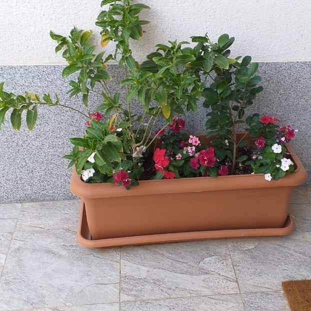 صورة واتساب بتاريخ 1447-04-17 في 13.18.16_035b892f