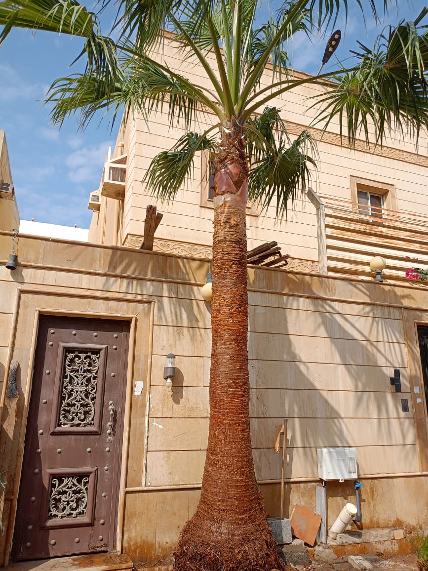 صورة واتساب بتاريخ 1447-04-30 في 00.24.01_8e638e83