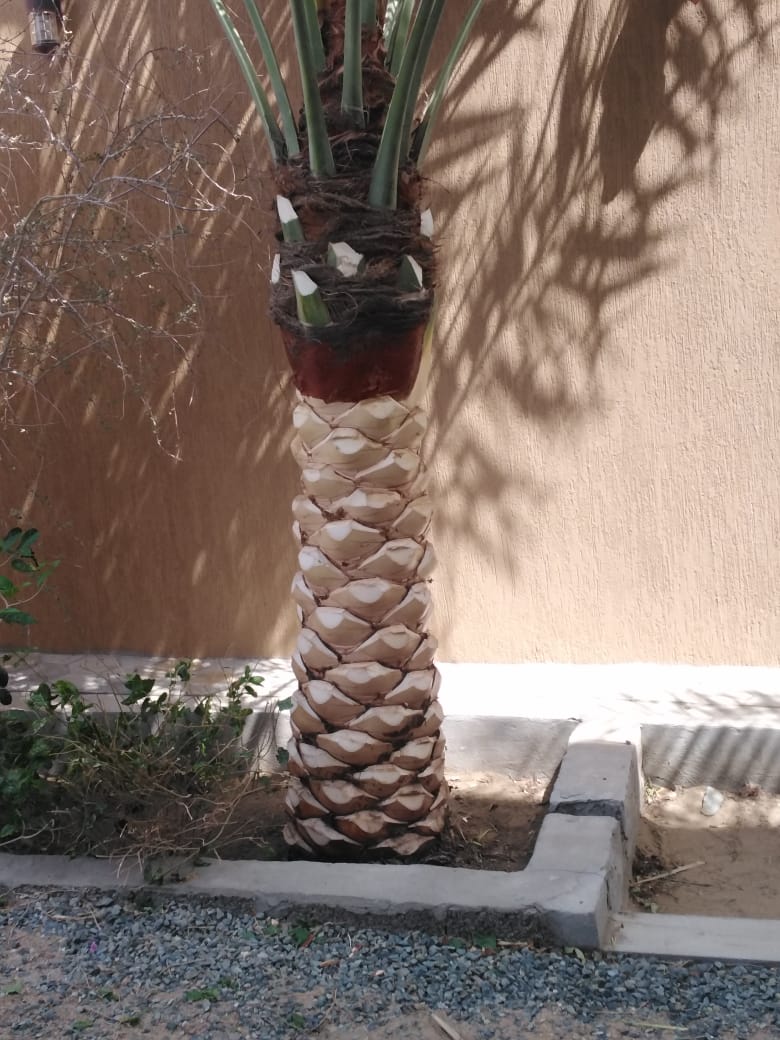 صورة واتساب بتاريخ 1447-04-30 في 00.24.05_9b7d6baf