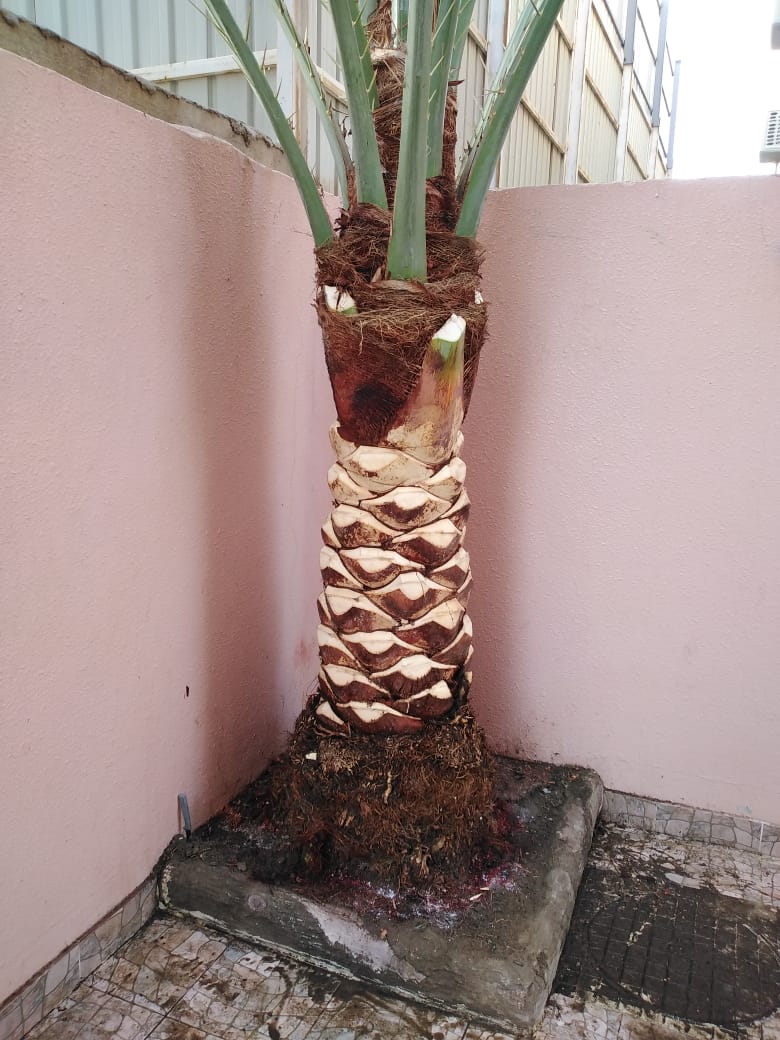 صورة واتساب بتاريخ 1447-04-30 في 00.24.06_2bc70e83