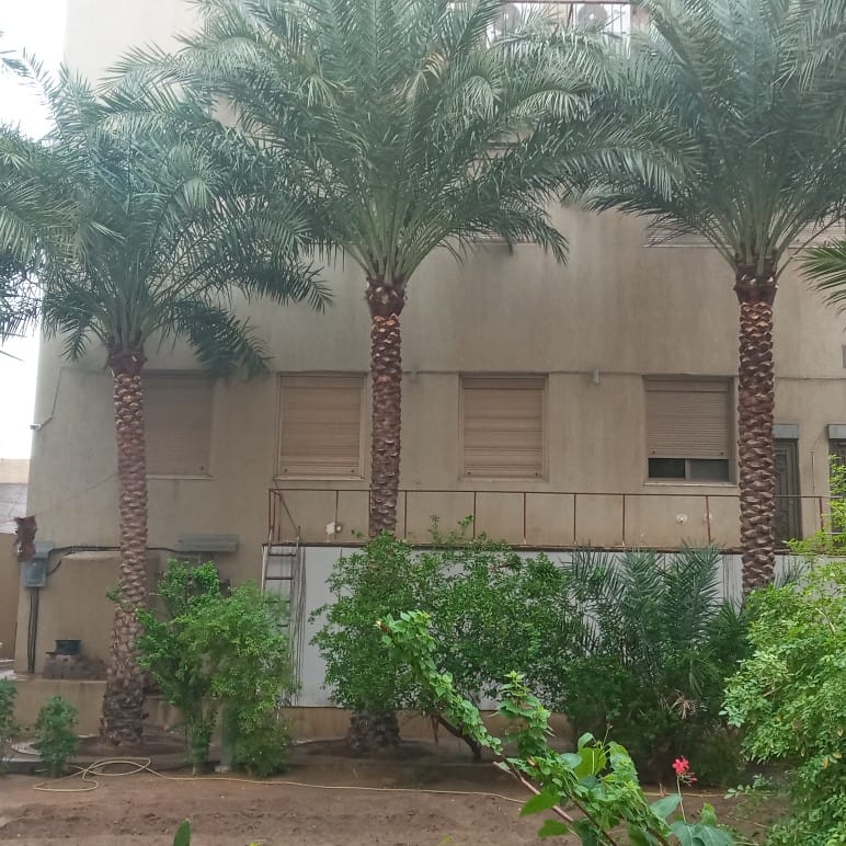 صورة واتساب بتاريخ 1447-05-01 في 23.41.21_88890e75